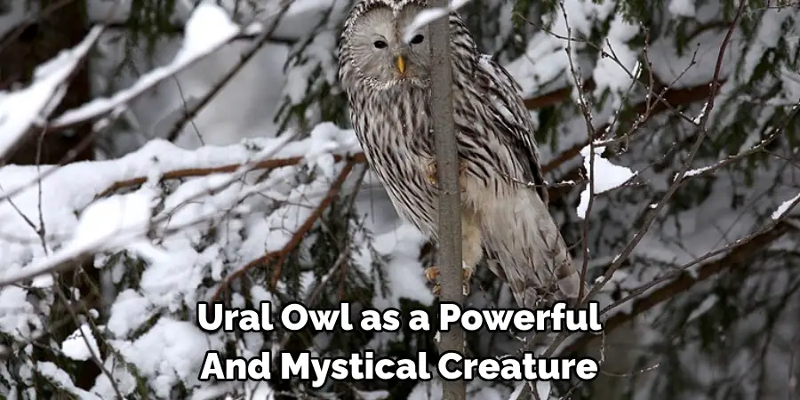 Ural Owl as a Powerful And Mystical Creature