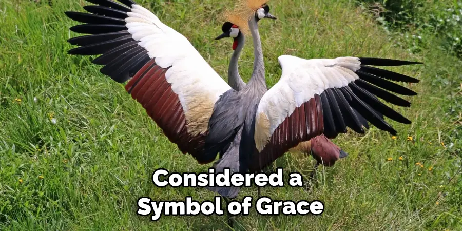 Considered a Symbol of Grace
