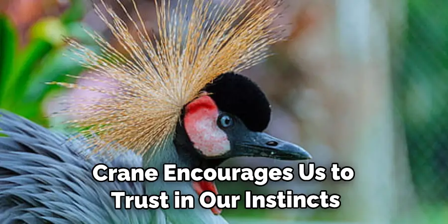Crane Encourages Us to Trust in Our Instincts