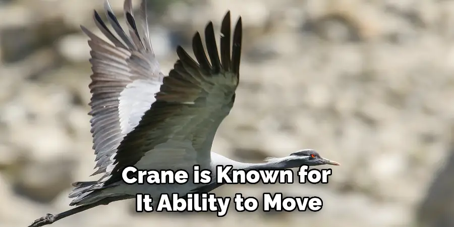  Crane is Known for Its Ability to Move