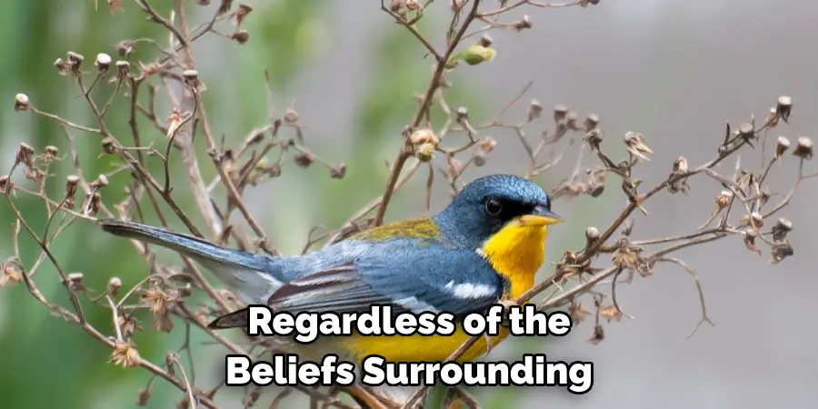 Regardless of the Beliefs Surrounding