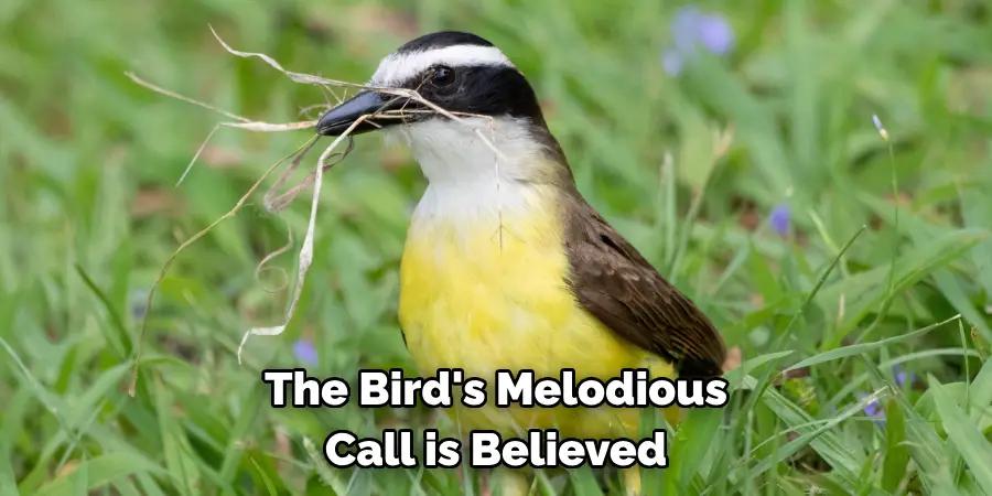 The Bird's Melodious Call is Believed