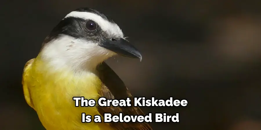 The Great Kiskadee Is a Beloved Bird