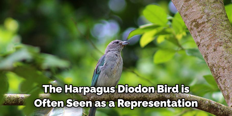 The Harpagus Diodon Bird is Often Seen as a Representation