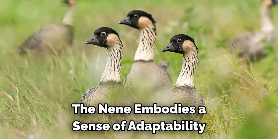 The Nene Embodies a Sense of Adaptability