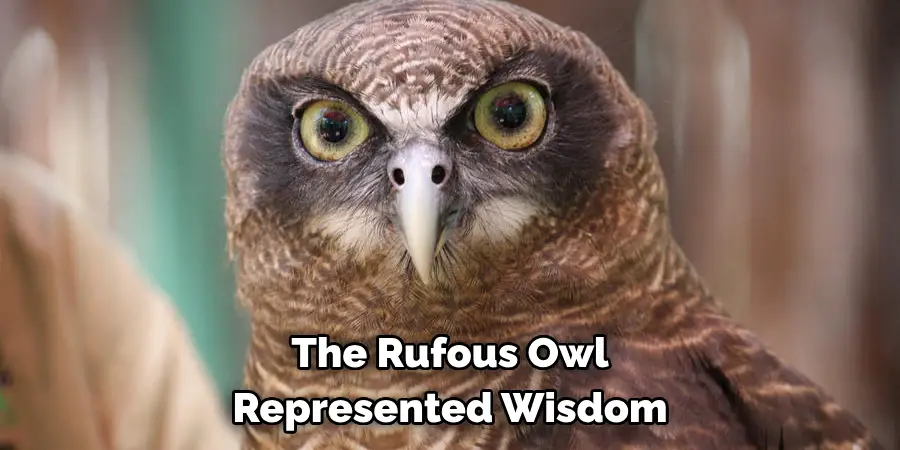 The Rufous Owl Represented Wisdom