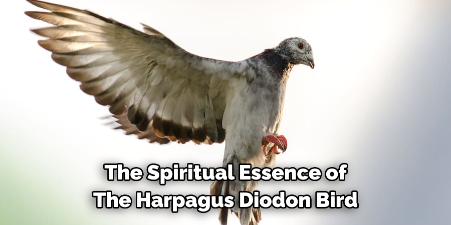 The Spiritual Essence of The Harpagus Diodon Bird