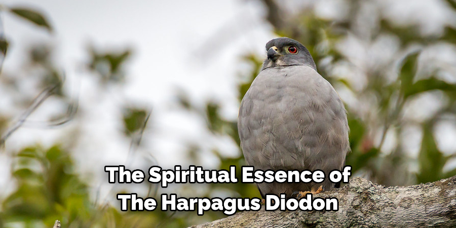 The Spiritual Essence of The Harpagus Diodon
