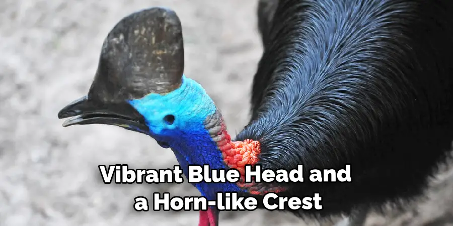 Vibrant Blue Head and a Horn-like Crest