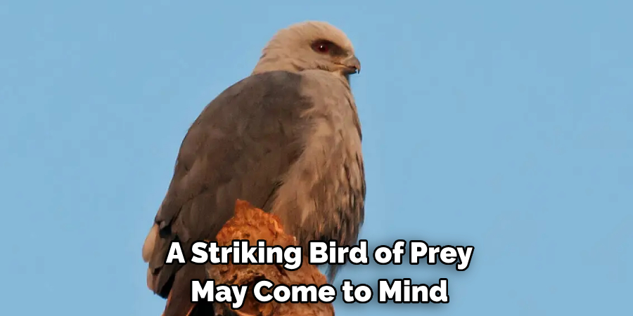 A Striking Bird of Prey May Come to Mind