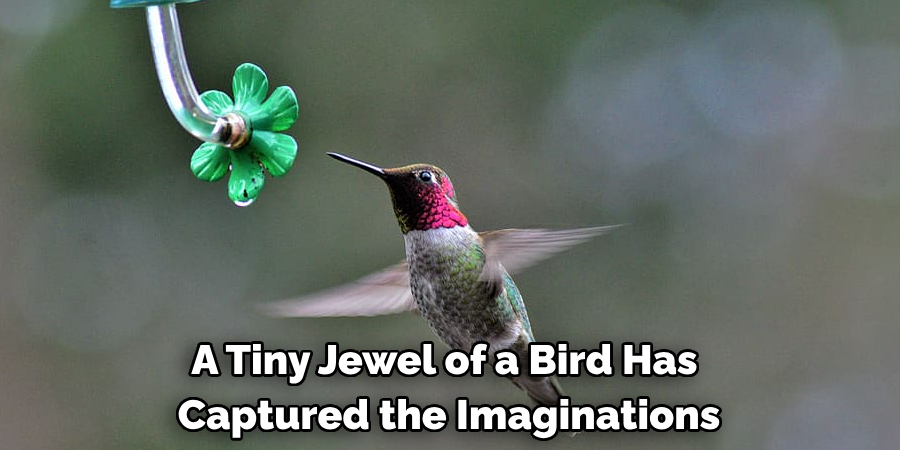 A Tiny Jewel of a Bird, Has Captured the Imaginations