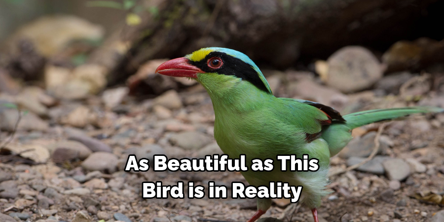 As Beautiful as This Bird is in Reality