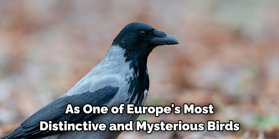As One of Europe's Most Distinctive and Mysterious Birds