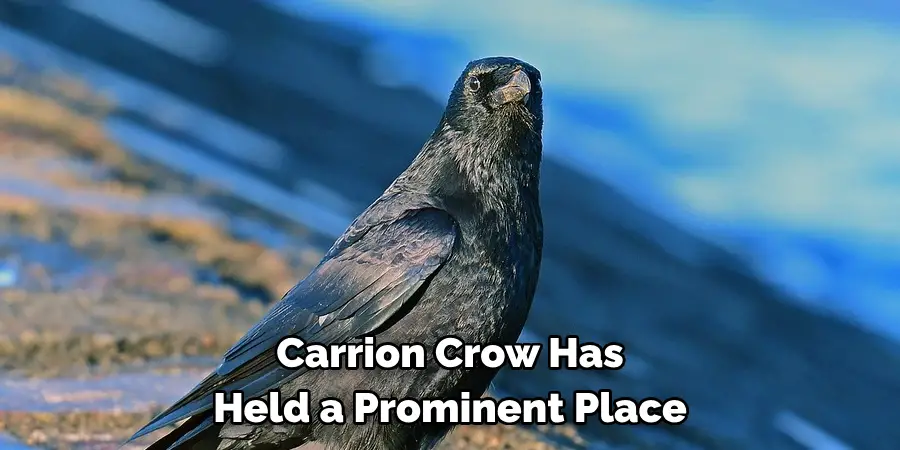 Carrion Crow Has Held a Prominent Place