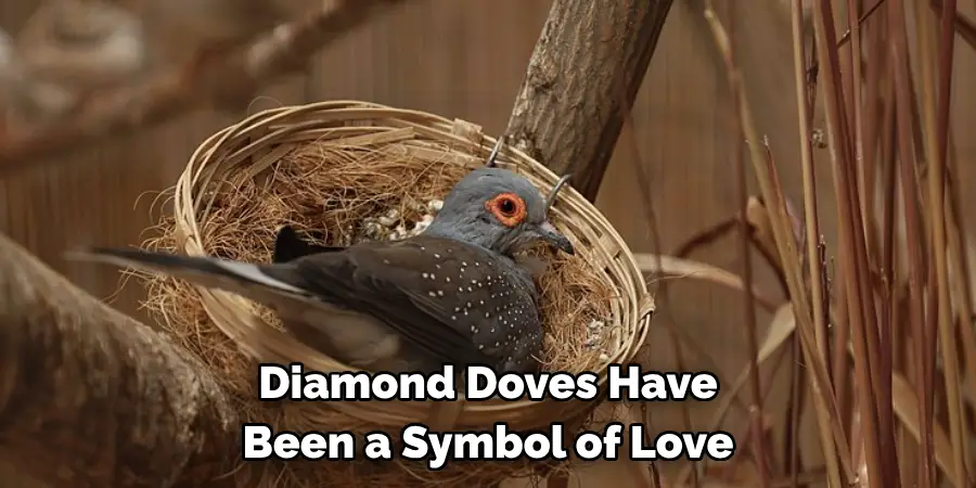 Diamond Doves Have Been a Symbol of Love