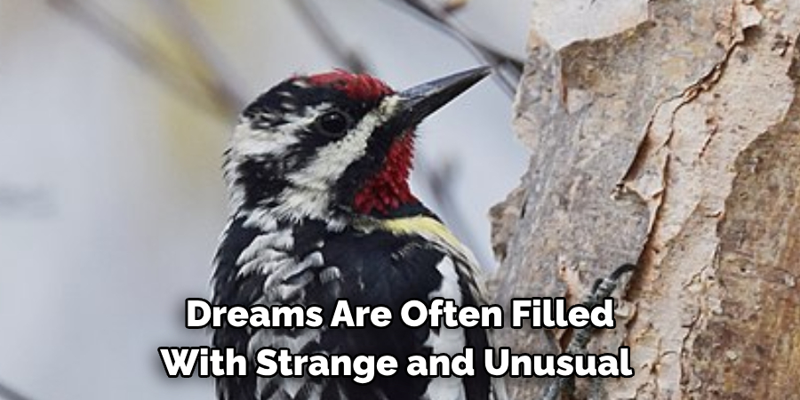 Dreams Are Often Filled With Strange and Unusual
