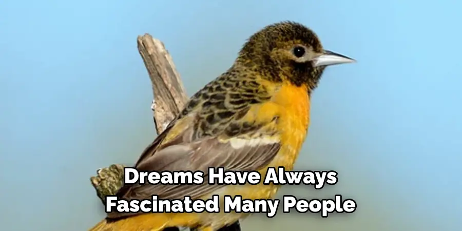 Dreams Have Always Fascinated Many People