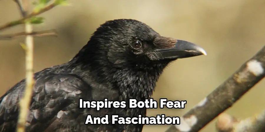 Inspires Both Fear And Fascination