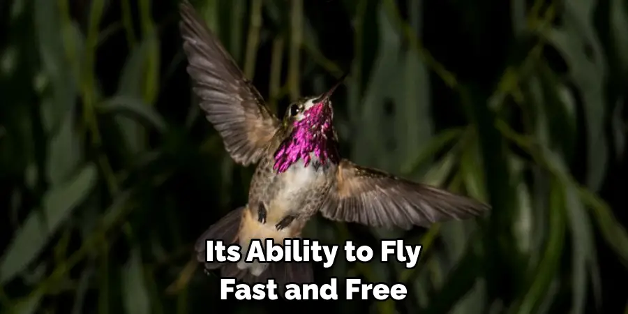 Its Ability to Fly Fast and Free