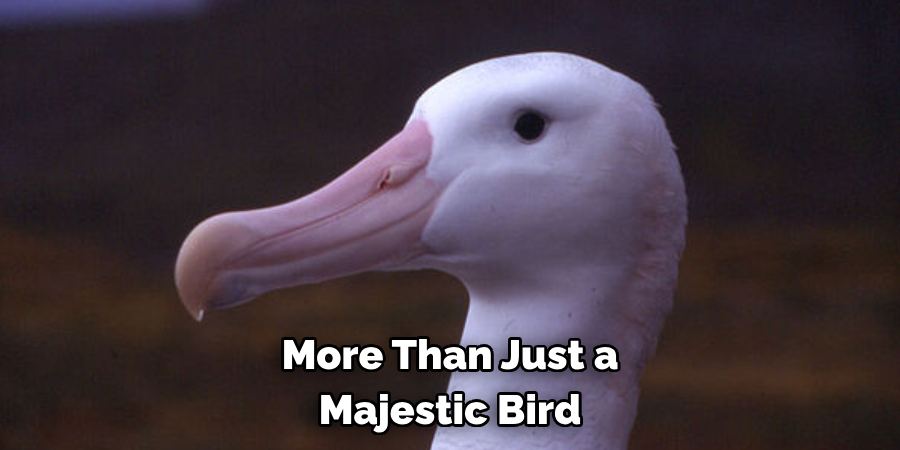 More Than Just a Majestic Bird