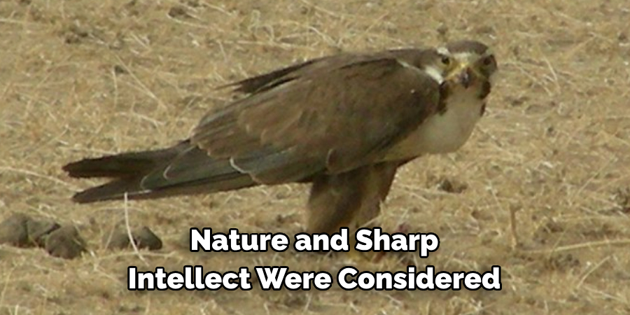 Nature and Sharp Intellect Were Considered