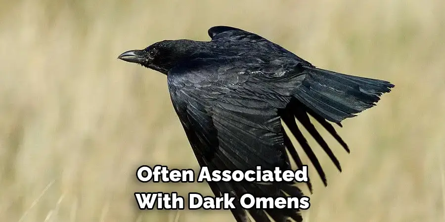 Often Associated With Dark Omens