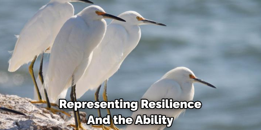 Representing Resilience And the Ability