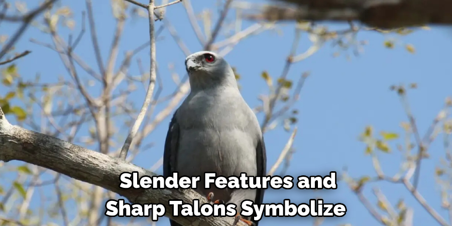 Slender Features and Sharp Talons Symbolize