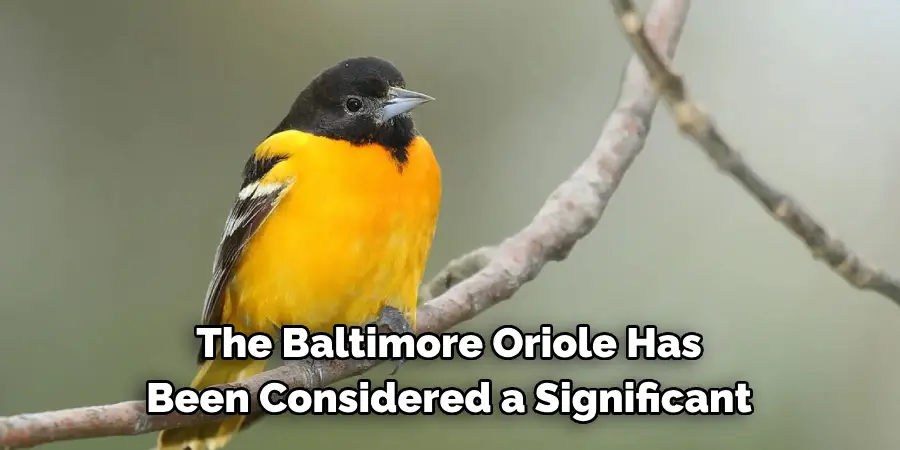 The Baltimore Oriole Has Been Considered a Significant