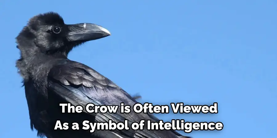 The Crow is Often Viewed As a Symbol of Intelligence