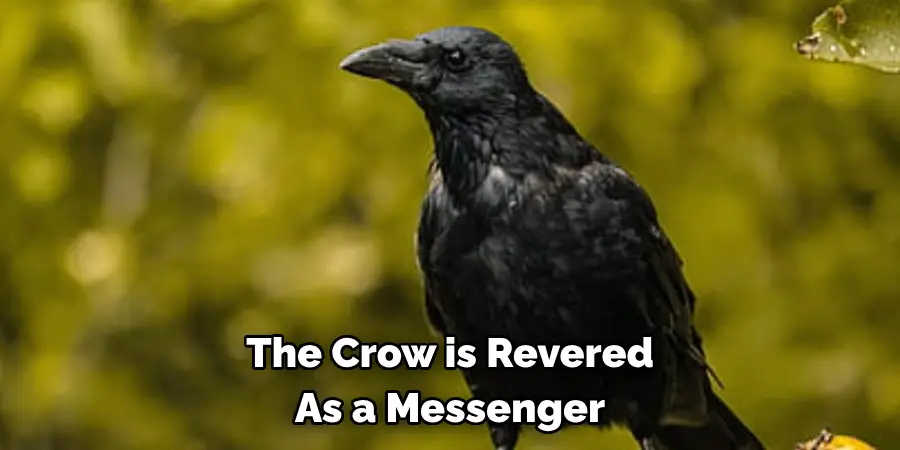 The Crow is Revered As a Messenger