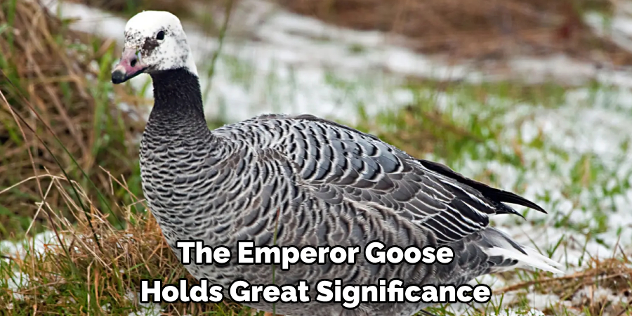 The Emperor Goose Holds Great Significance