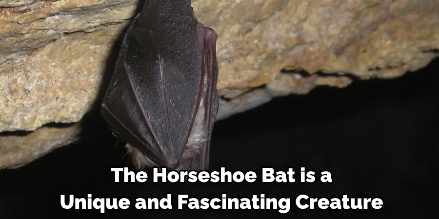 The Horseshoe Bat is a Unique and Fascinating Creature