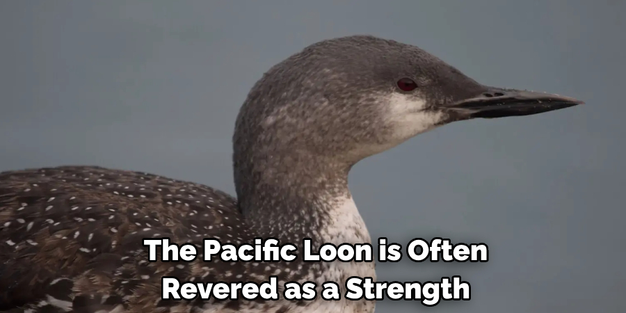 The Pacific Loon is Often Revered as a Strength