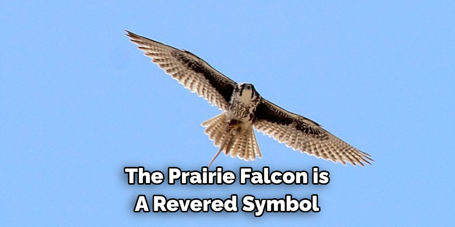 The Prairie Falcon is A Revered Symbol