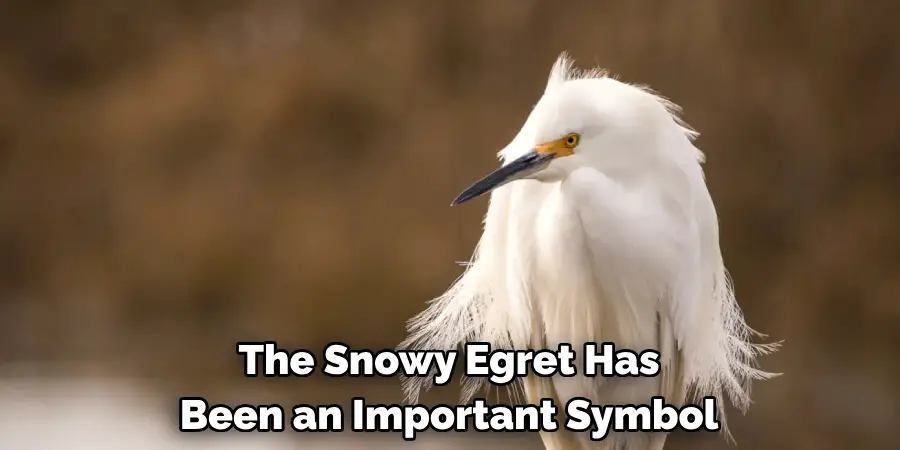 The Snowy Egret Has Been an Important Symbol