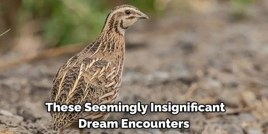 These Seemingly Insignificant Dream Encounters