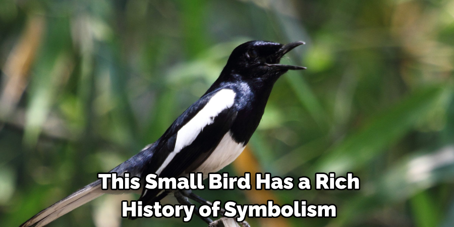 This Small Bird Has a Rich History of Symbolism