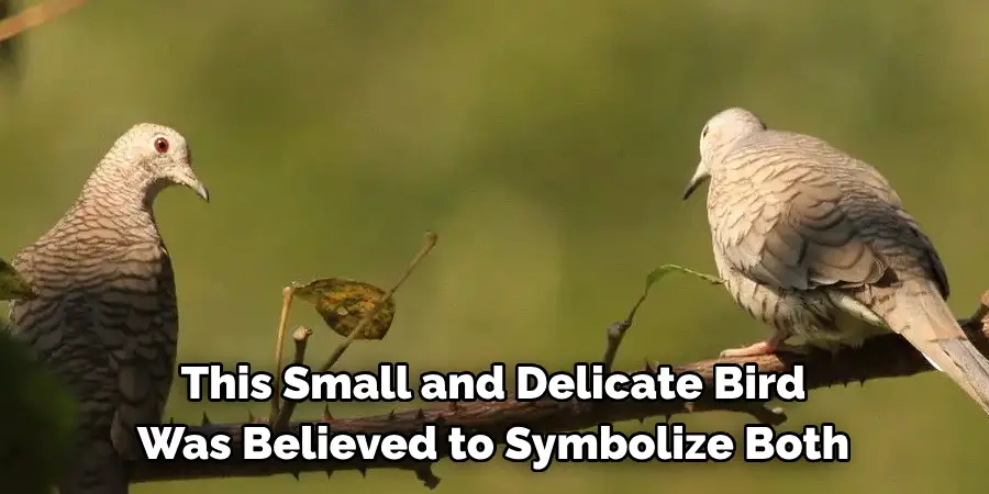 This Small and Delicate Bird Was Believed to Symbolize Both