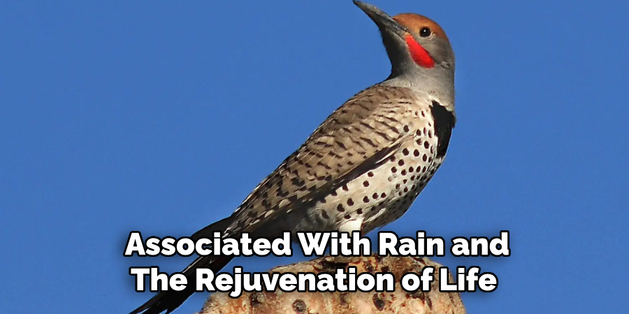 Associated With Rain and The Rejuvenation of Life
