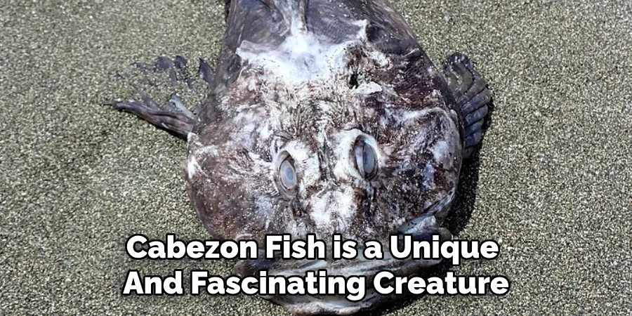 Cabezon Fish is a Unique And Fascinating Creature