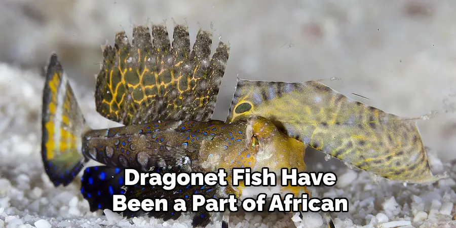 Dragonet Fish Have Been a Part of African