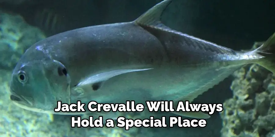 Jack Crevalle Will Always Hold a Special Place