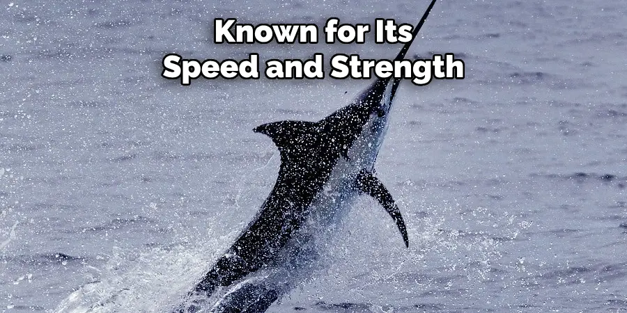Known for Its Speed and Strength