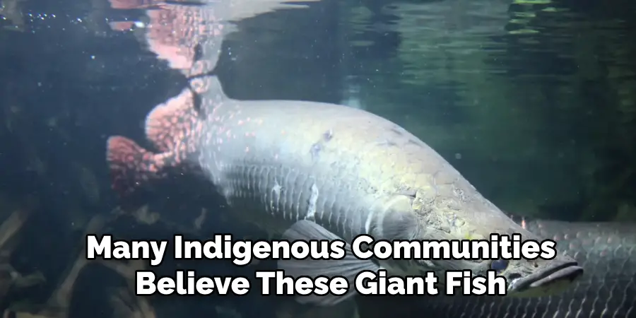 Many Indigenous Communities Believe These Giant Fish
