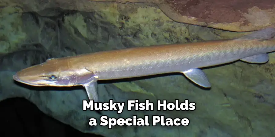 Musky Fish Holds a Special Place