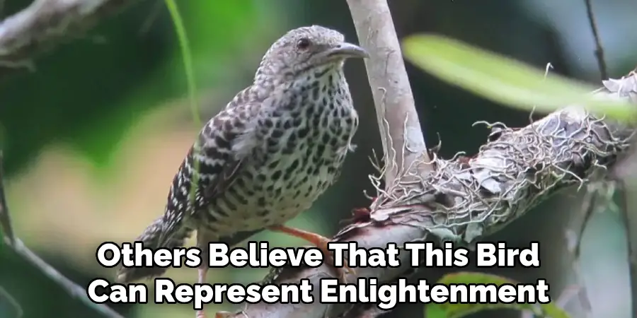 Others Believe That This Bird Can Represent Enlightenment