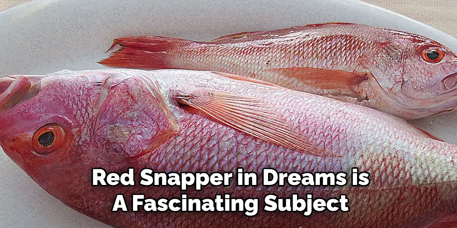 Red Snapper in Dreams is A Fascinating Subject
