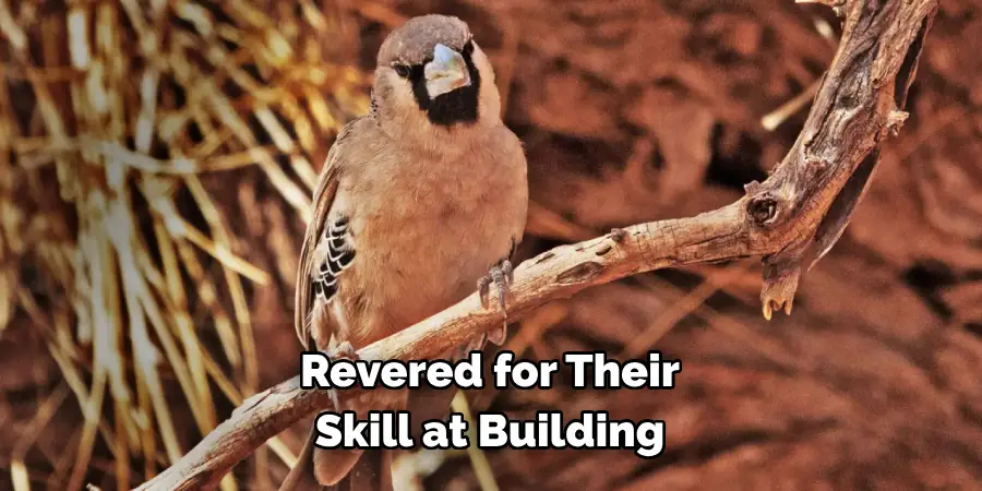 Revered for Their Skill at Building