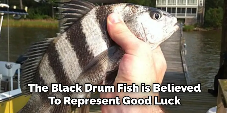 The Black Drum Fish is Believed To Represent Good Luck